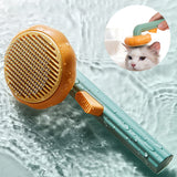 Pumpkin Pet Brush